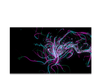 Captura de pantalla del software Magic Eye FX con juego Color Trails